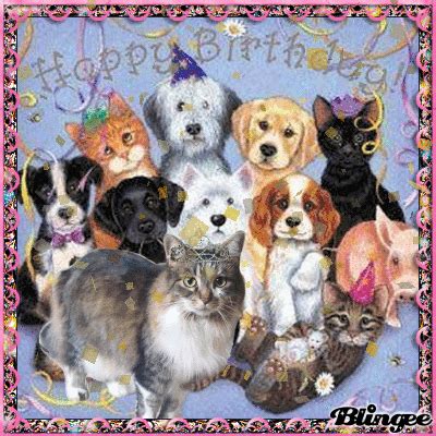 dogs singing happy birthday gif - Expose Forum Photo Galery