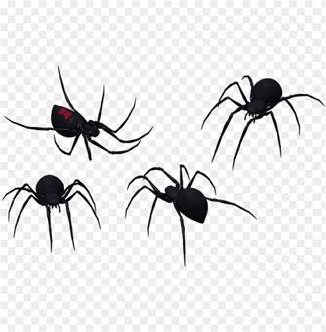 Black Widow Spider Png Graphic Royalty Free Stock - Black Widow Spider ...