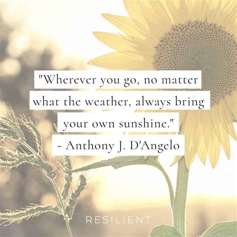 40+ Sun Quotes and Sunshine Quotes - Resilient