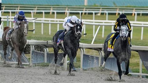 Gulfstream Horse Racing Picks for Friday 1/20/23