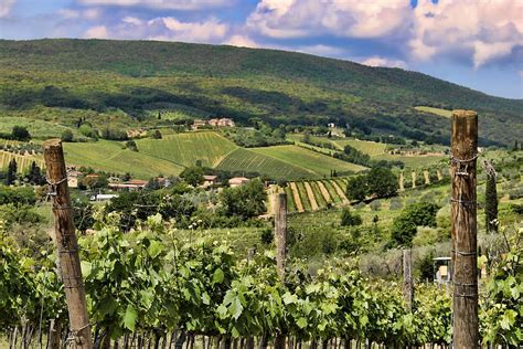 HD wallpaper: Tuscany, Vineyard, Landscape, Italy, hill, field, farm ...