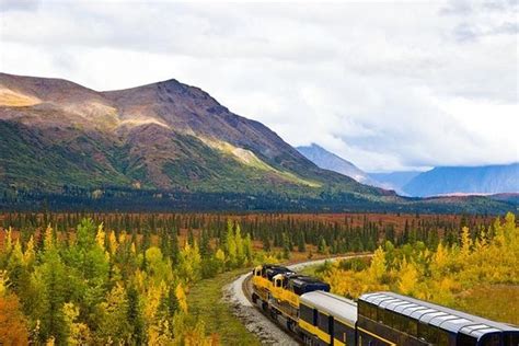 Tripadvisor | Alaska Railroad Denali to Anchorage One Way provided by ...