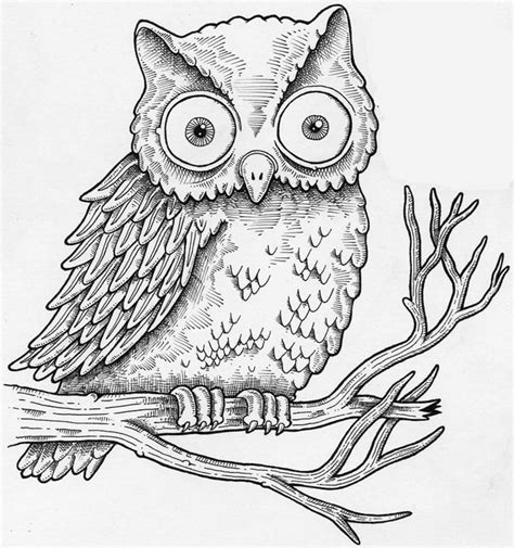 Owl drawing - Deep Space Sparkle