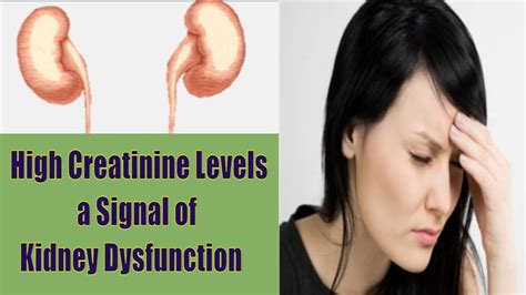 High Creatinine Level a Signal of Kidney Dysfunction , Causes of High Cr... | Creatinine levels ...