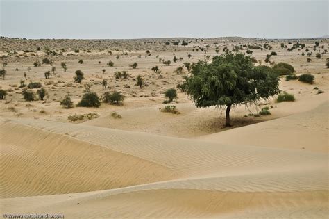 Deserts of Pakistan | Pakistan Defence