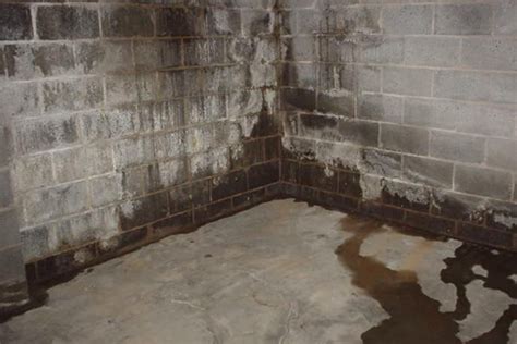 Wet Basement Solutions - The Fundamentals