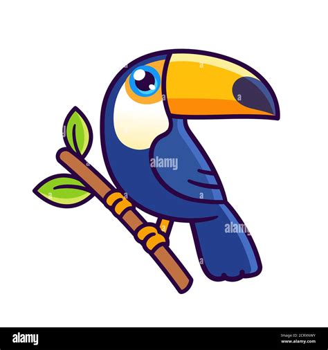 Cute cartoon Toco toucan drawing. Exotic rainforest bird vector ...