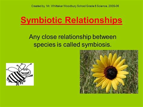 What Is Symbiotic Relationship