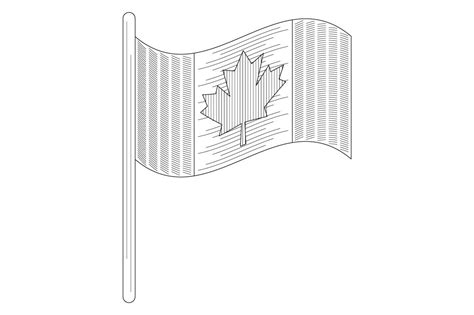 Canada Flag - Sketch SVG Cut file by Creative Fabrica Crafts · Creative ...