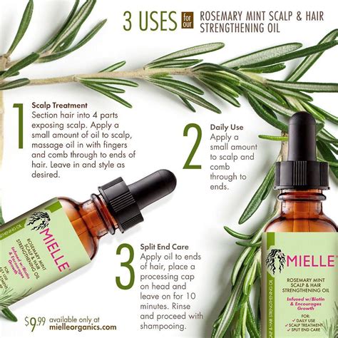 Pin by Simone Washington on HAIRGROWTH2020-2021 | Mint oil, Rosemary ...