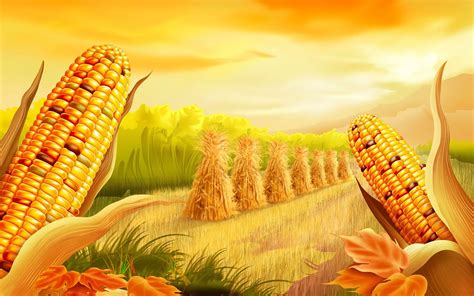 Corn Field Wallpapers - Wallpaper Cave