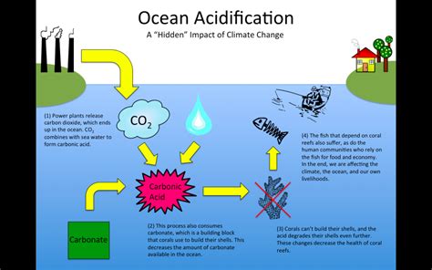 Alkalinity of the San Diego Water Supply: Some Basic Information - San ...