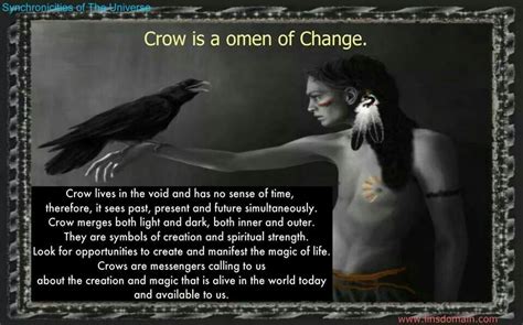 Pin by Laura Bobora on Woohoo witchy woman | Crow spirit animal, Spirit guides, Spirit animal ...