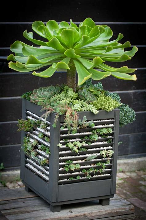 47 Succulent Planting Ideas with Tutorials | Succulent Garden Ideas ...