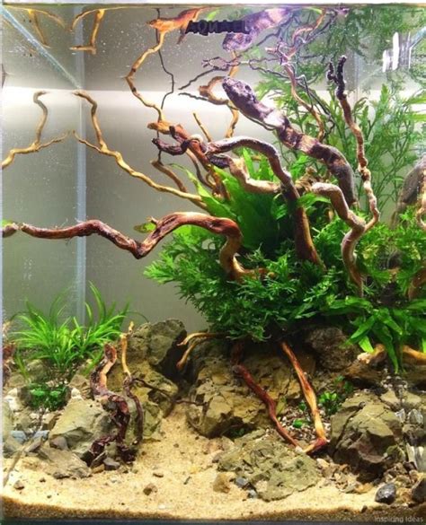 30 Aquascaping Ideas for Inspirations | Fish tank decorations, Fish ...