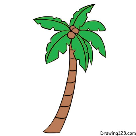 Coconut Tree Drawing