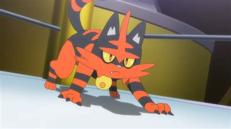 Respect Torracat (Pokemon Anime) : r/respectthreads