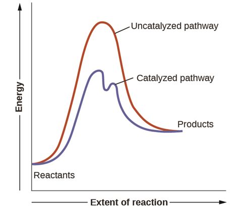 12.7 Catalysis – Chemistry