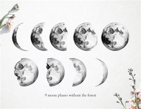 Watercolor Moon Phases Clipart Watercolor Phases of the Moon - Etsy