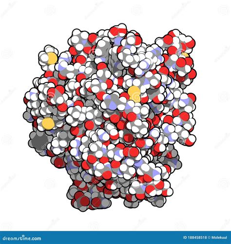 Recombinant DNase I DNA Cutting Enzyme (dornase Alfa), Chemical ...