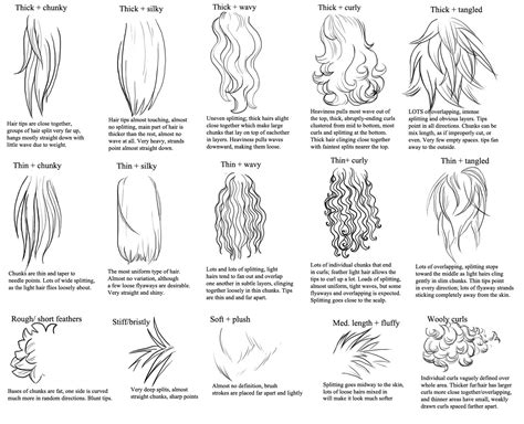 Tips for drawing different hair and fur types by *Deskleaves on deviantART | Drawing people ...