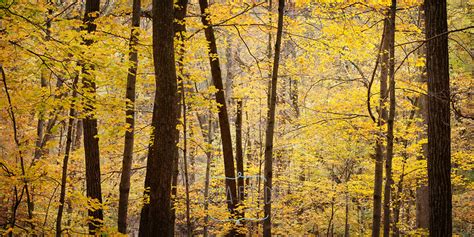 Everyday Magic – Wisconsin Fall Colors at Devil’s Lake State Park ...