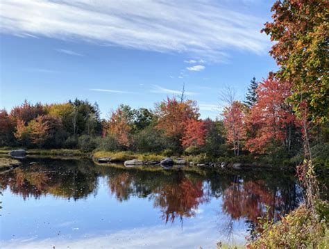 Autumn Colors in Maine - The Martha Stewart Blog