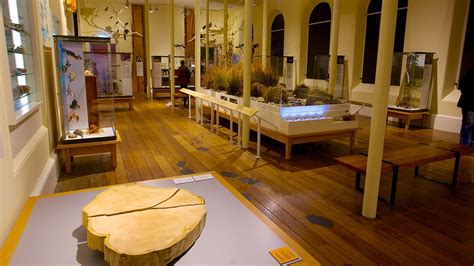 Tasmanian Museum and Art Gallery - Hobart, Tasmania Attraction | Expedia.com.au