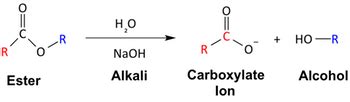 Saponification | Definition, Reaction & Mechanism - Lesson | Study.com