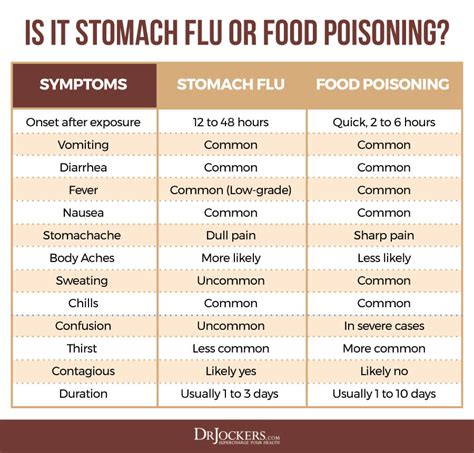 Food Poisoning: Causes, Symptoms & Support Strategies - DrJockers.com