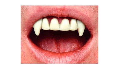 Vampire Fangs Count Dracula Teeth - Clip Art Library