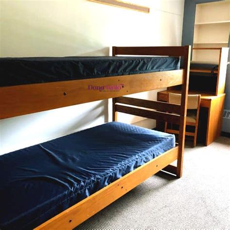 3 Tips To Make College Dorm Room Beds More Comfortable - Dana Vento