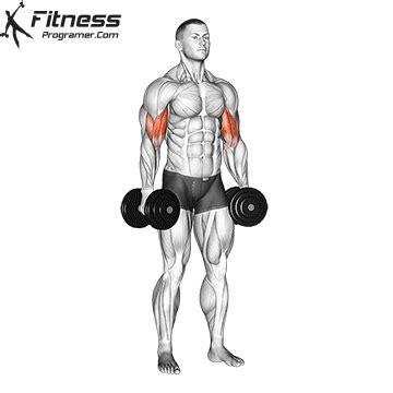 Https://fitnessprogramer.com/login-register?ref=FNESSPAGH423709 » Workout Routine Created By ...