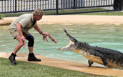 10 Wild Facts About ‘The Crocodile Hunter' Steve Irwin