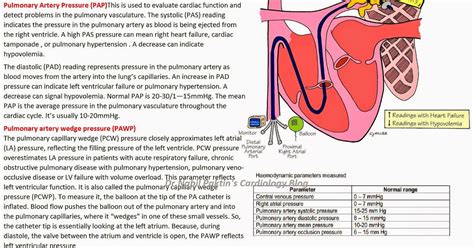 Dr.Nabil Paktin's Cardiology Blog مجله کاردیولوژی دکتور نبــیل پاکطـین : Pulmonary artery ...