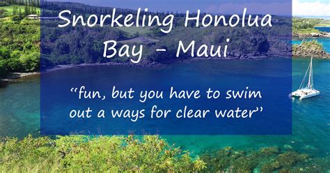 Snorkeling Honolua Bay - Worth The Drive, Hike And Long Swim