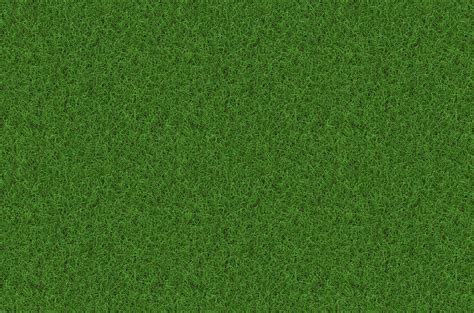 Grass Texture Hd