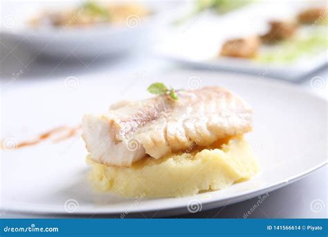 Sea bass fillet stock photo. Image of bream, diet, fillet - 141566614