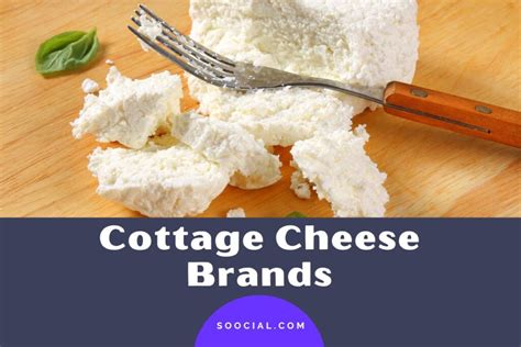 11 Cottage Cheese Brands To Discover Deliciousness - Soocial