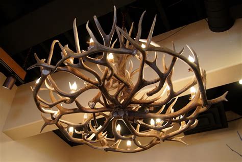 Homemade Deer Antler Chandelier