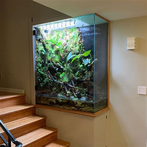 Large Terrarium Ideas at Bob Degnan blog