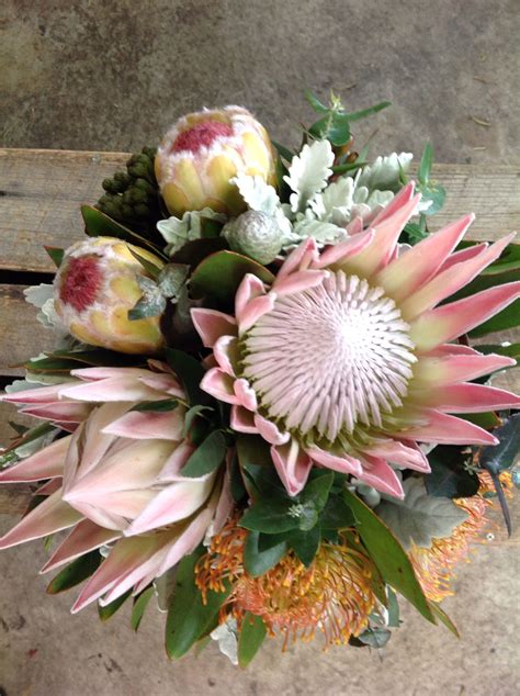 king protea flower arrangements - Calming Log-Book Stills Gallery