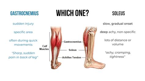 Getting Back on Your Feet: Calf Rehab for Active Individuals | Vive