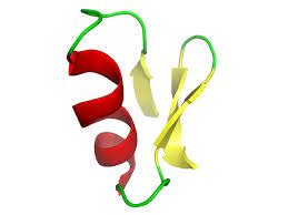 Chlorotoxin - Molecular Depot