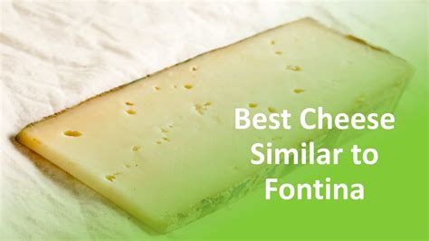 Fontina Cheese Substitute: Similar Taste & Substitution Ratios