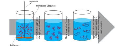 Illustrative representation of the coagulation process | Download ...