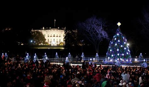 christmas trees | White house christmas tree, National christmas tree ...