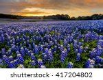 Spicewood image - Free stock photo - Public Domain photo - CC0 Images