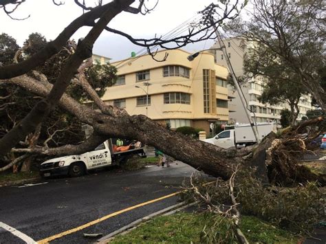 Gale-force winds cause destruction across the Cape