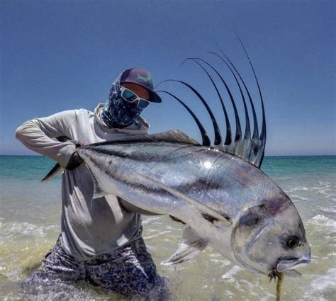 Coolest looking fish in the ocean, imo- the Roosterfish. Credit to Zac ...